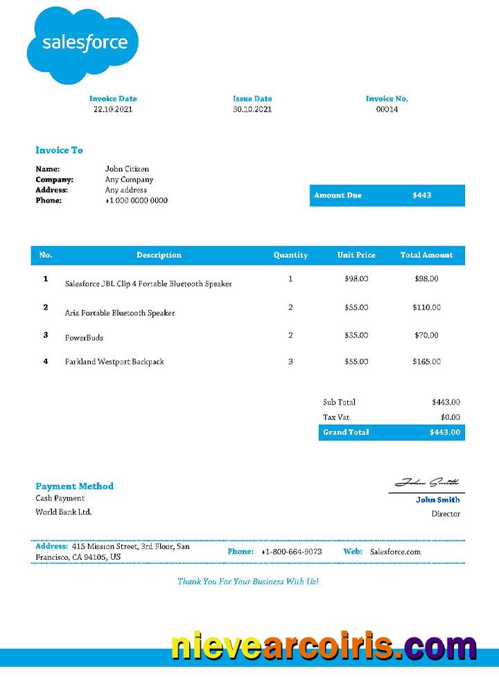 USA Salesforce invoice
